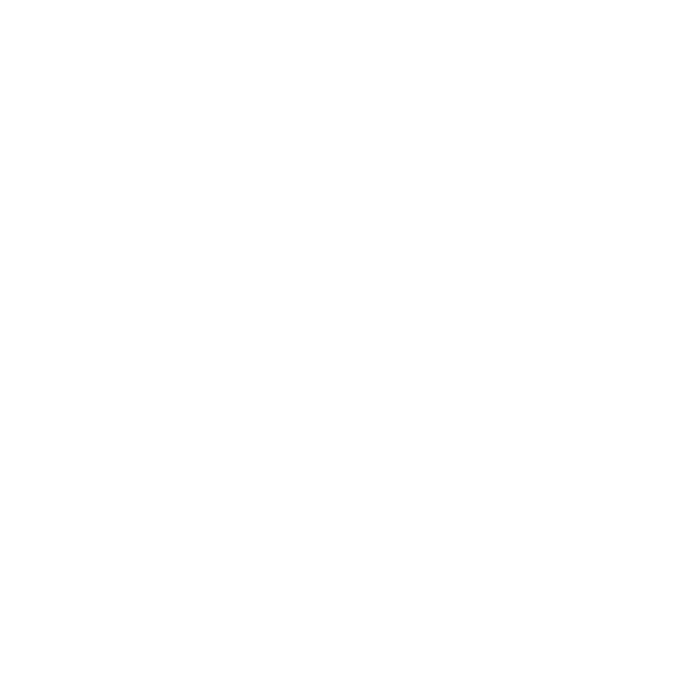 WordPress logo used by slym for building and managing client websites